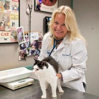 Alison Abramson, VMD Alison Abramson, VMD