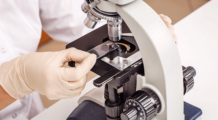 Veterinary in-house Lab Services in Scarsdale Veterinary in-house Lab Services in Scarsdale