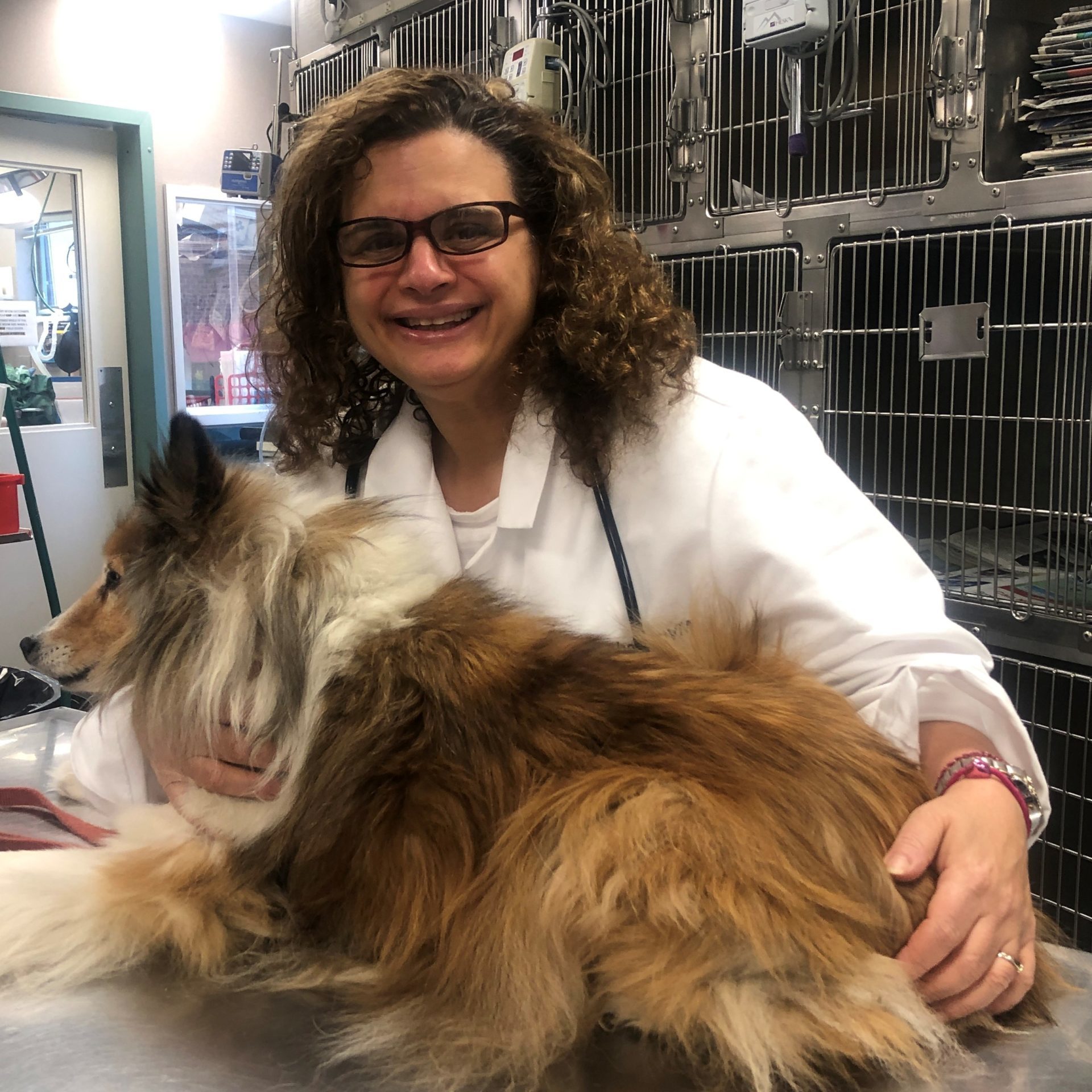 Joy Cohen, DVM Joy Cohen, DVM