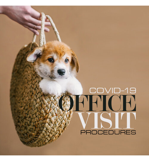 New-Protocols-for-Office-Visits-CV320 New-Protocols-for-Office-Visits-CV320