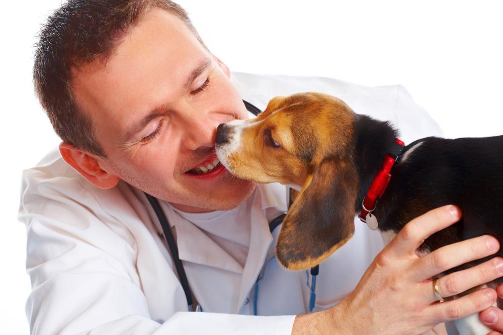 Learn About Caring For Your New Puppy From The Pet Care Blog Of Central  Animal Hospital Of Scarsdale! We Provide Top Vet Care In Scarsdale.